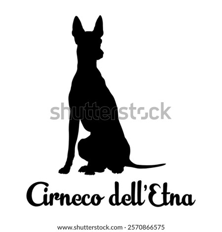 Cirneco dell'Etna. dog silhouette, dog breeds, logo, vector, silhouette,  animal, illustration, icon, sign, design, black, symbol, pet, love
