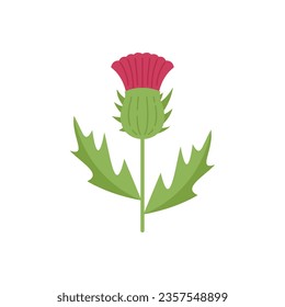 Cirsium thistle icon flat vector. Flower milk. Scotland plant isolated