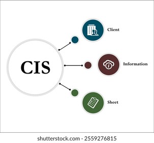 CIS - Client Information Sheet acronym. Infographic template with icons and description placeholder