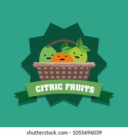 citric fruits design