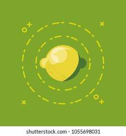 citric fruits design