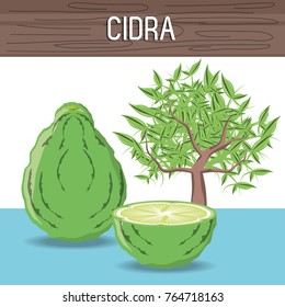 citric fruits design 