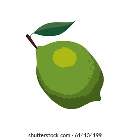 citric lemon fruit