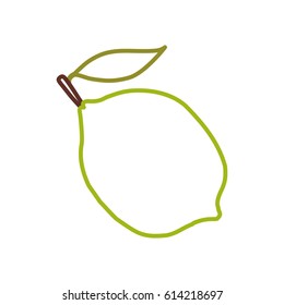 citric lemon fruit