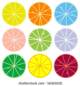 citrics collection against white background, abstract vector art illustration