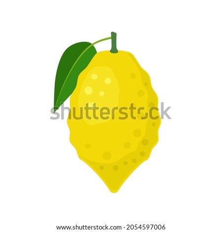 Citron citrus fruit with leaf in flat style. Vector illustration isolated on white background