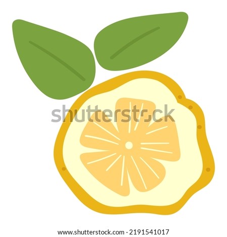 Citron. Flat vector illustration. Hand drawn graphic design on white background.