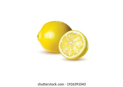 Citron Lemon Vector illustration isolated on white background