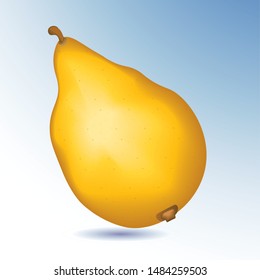 citron, One of the four species for Jewish Sukkot