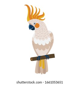 Citron-crested Cockatoo parrot sitting on brunch. Colorful exotic bird with orange crest in cartoon style illustration on white background.