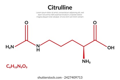 Citrullin-α-Aminosäure, Molekülstrukturformel, geeignet für Bildung oder Chemiewissenschaften. Vektorgrafik