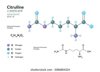 Citrullina. Ácido Alfa Amino. Fórmula química estructural y modelo molécula 3d. C6H13N3O3. Átomos con codificación de color. Ilustración vectorial 
