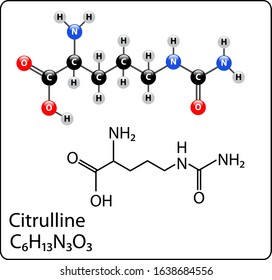 citrulline Molecule Structure ball and stick