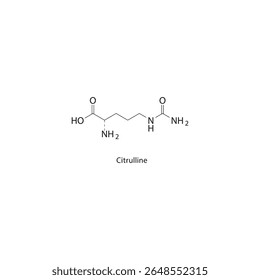 Estrutura esquelética citrulina. Ilustração esquemática do composto de aminoácidos não proteinogênicos. Diagrama simples, fórmula química.