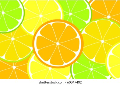 Citrus background with orange, lemon, lime slices vector illustration