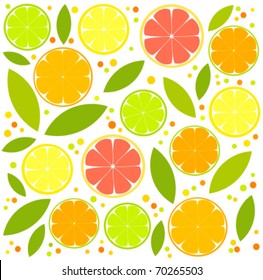 Citrus background  - orange, lemon, lime slices and leaves. vector illustration