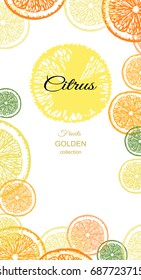 Citrus background with slices of orange fruit, lime, mandarin and lemon. Place for your text.
Vector illustration.