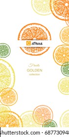 Citrus background with slices of orange fruit, lime, mandarin and lemon. Place for your text.
Vector illustration.