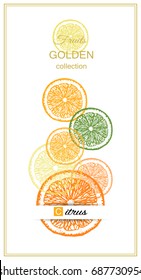Citrus background with slices of orange fruit, lime, mandarin and lemon. Place for your text.
Vector illustration.
