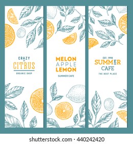 Citrus banner collection. Line art graphic. Lemons and oranges illustration. Vector illustration