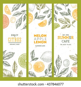 Citrus banner collection. Lineart graphic. Lemons and oranges illustration. Vector illustration