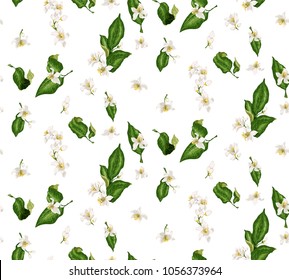 Citrus branches seamless pattern with flowers and leaves. Flowers of orange, lime, lemon and others. Blossom of spring spanish wedding mood