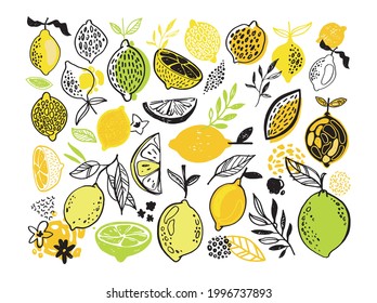 Citrus citron lemon pattern background. Lemonade art label. Cute hand drawn doodle summer pattern background. Fresh pattern art. T-shirt design label.