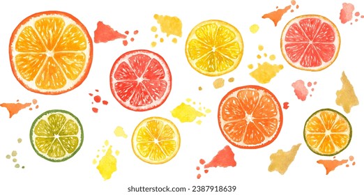 Citrus. Colección de 18 elementos. Todos los elementos están pintados con acuarelas. Puede crear patrones y tarjetas por sí mismo