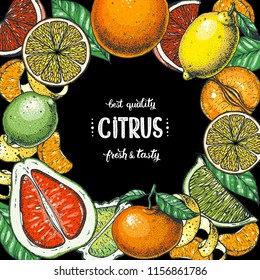 Citrus  collection. Hand drawn vector illustration. Organic food frame, citrus design template. Colored illustration. Vintage citrus set.