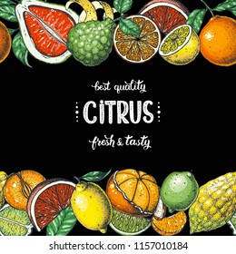 Citrus collection. Hand drawn vector illustration. Organic food frame, citrus design template. Colored illustration. Vintage citrus set.