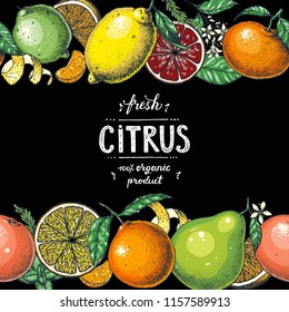  Colección Citrus. Ilustración vectorial dibujada a mano. Marco orgánico de alimento, plantilla de diseño cítrico. Ilustración coloreada. Conjunto de cítricos de época.