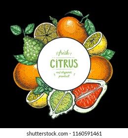 Citrus collection. Hand drawn vector illustration. Organic food label, citrus design template. Colored illustration. Vintage citrus set.