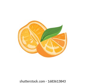 Citrus colorful fruit vector illustration. Composition of drawing oranges with leaves isolated on white background. Orange print, icon, composition elements for logo and emblem.