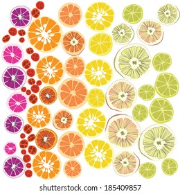 Citrus colorful vector background