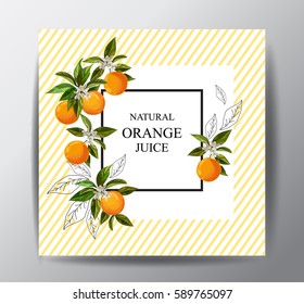 Citrus cover.Template for package design. Orange juice.Hand drawn elements.