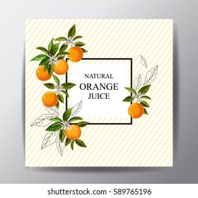 Citrus cover.Template for package design. Orange juice.Hand drawn elements.