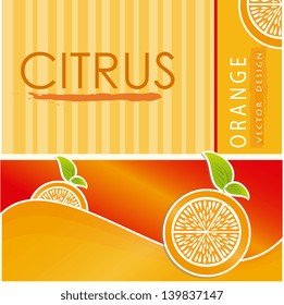 citrus design  over orange background vector illustration