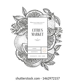 Citrus design template. Engraved botanical style illustration. Orange, flowers, lemon, tangerine slices. Vector illustration