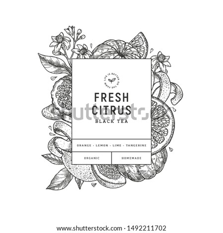 Citrus design template. Engraved botanical style illustration. Orange, flowers, lemon, tangerine. Vector illustration