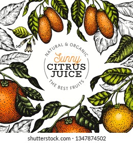 Citrus design template. Hand drawn vector color fruit illustration. Engraved style banner. Retro citrus frame.