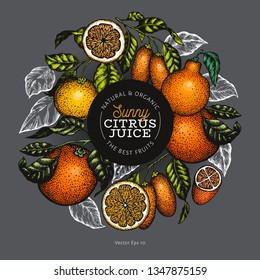 Citrus design template. Hand drawn vector color fruit illustration on dark background. Engraved style banner. Retro citrus frame.