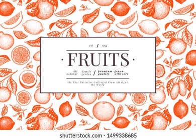 Citrus design template. Hand drawn vector fruit illustration. Engraved style banner. Vintage citrus frame.