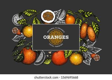 Citrus design template. Hand drawn vector color fruit illustration on dark background. Retro citrus banner.