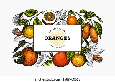 Citrus design template. Hand drawn vector color fruit illustration. Engraved style frame. Retro citrus banner.
