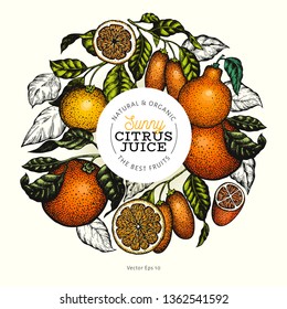 Citrus design templete. Hand drawn vector colour fruit illustration. Engraved style banner. Retro citrus frame.