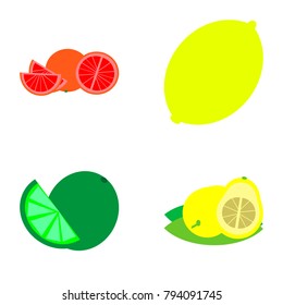 Citrus family fruits icon set.