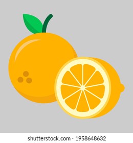 citrus flat icon illustration vector graphic