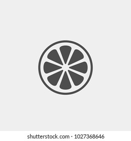 Citrus flat vector icon