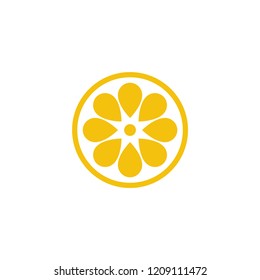 Citrus flat vector icon. Lemon, orange flat vector icon