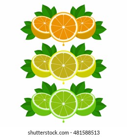 Citrus Flat Vector Illustration
